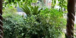 Gral. Pacheco. Excelente Casa en Dos Plantas Garage, Jardin, Pileta