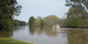 DELTA RIO CARABELAS-SAN FDO HERMOSA FRACCION DE 32 HA CON IMPECABLE PROPIEDAD