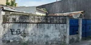 TIGRE CENTRO, Casa a Reciclar o Demoler