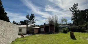 Tigre: Galpon Sobre Lote de 1000 Mtrs. con Vivienda a Reciclar
