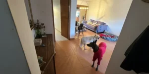 Venta Hermoso Tríplex en Tigre Centro