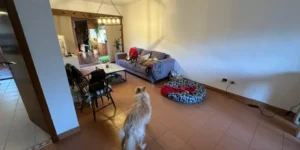 Venta Hermoso Tríplex en Tigre Centro