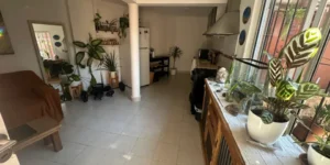 Dos PH con Entrada Compartida en Excelente Ubicación en Tigre